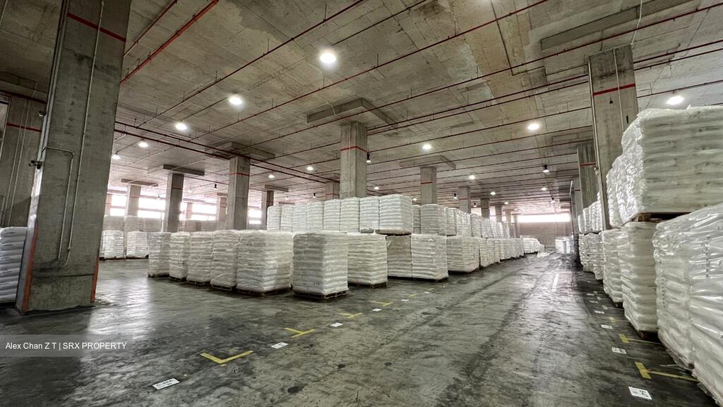 Thyssen Haniel Logistics Centre (D16), Warehouse #578705861